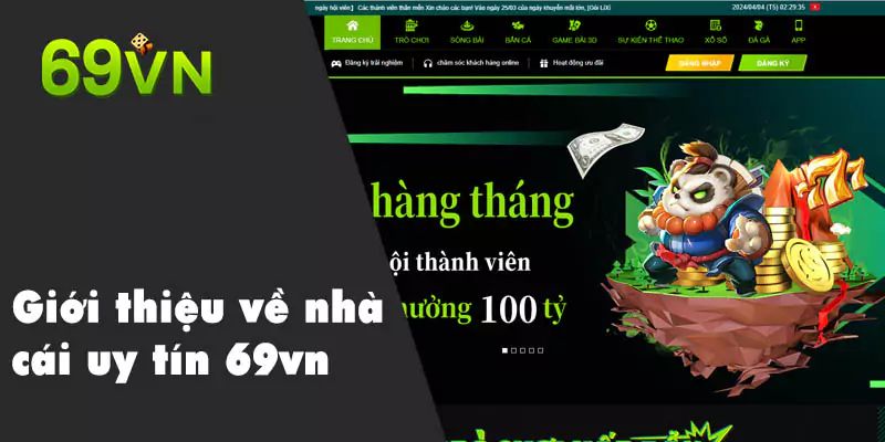 Nền móng ban đầu của sự hình thành 69VN